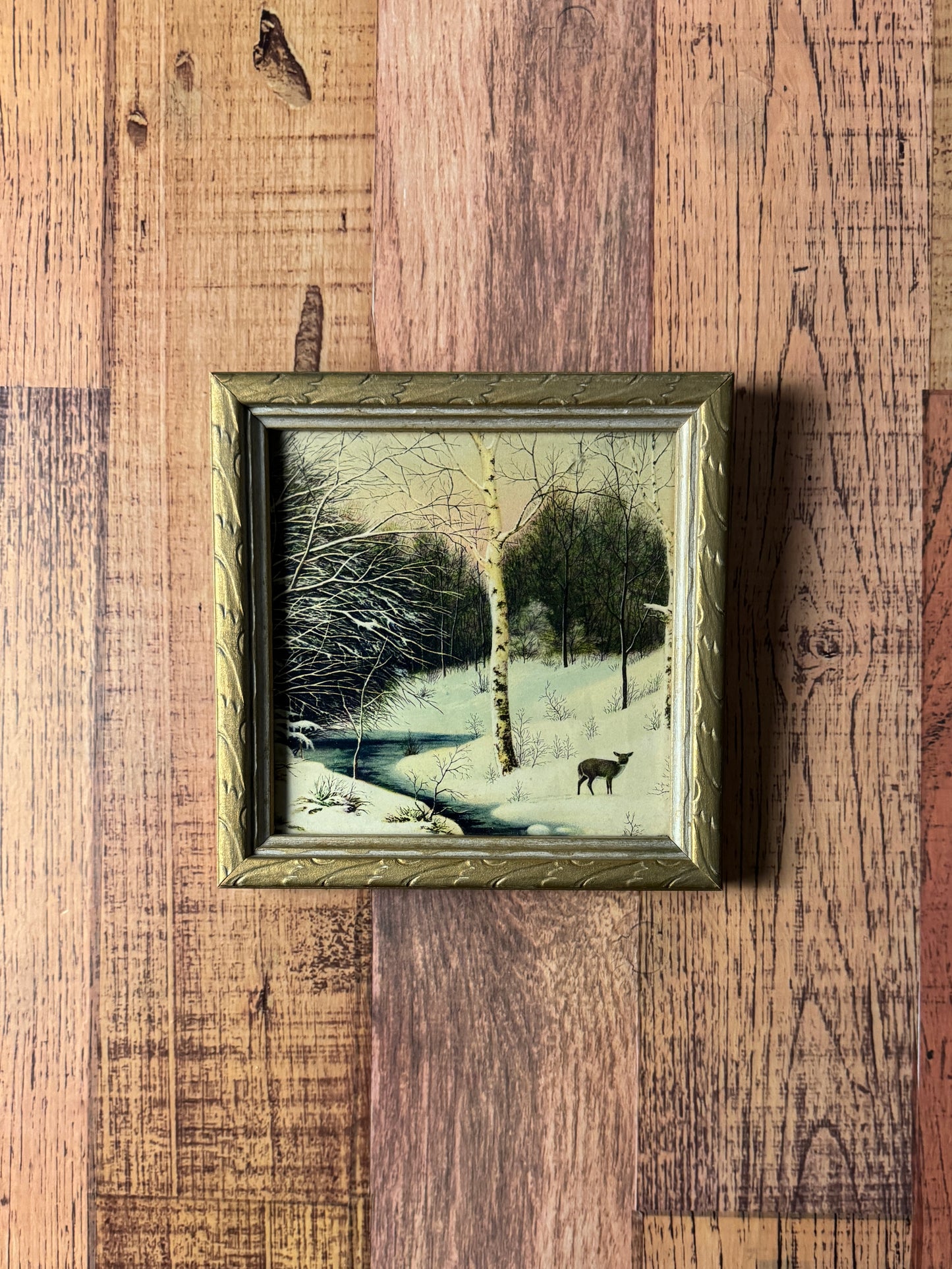 Fawn in Field