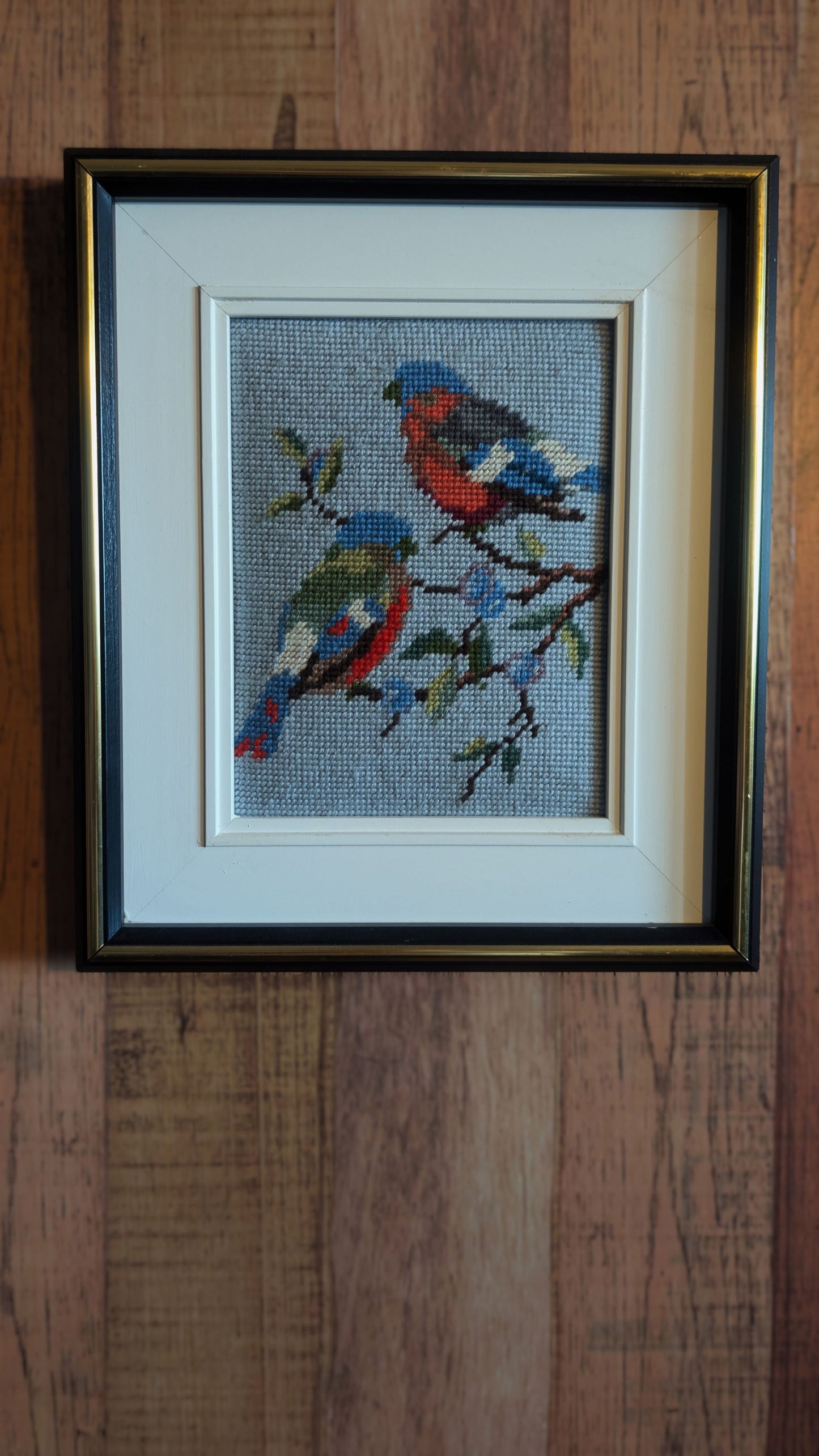 Two Bluebirds
