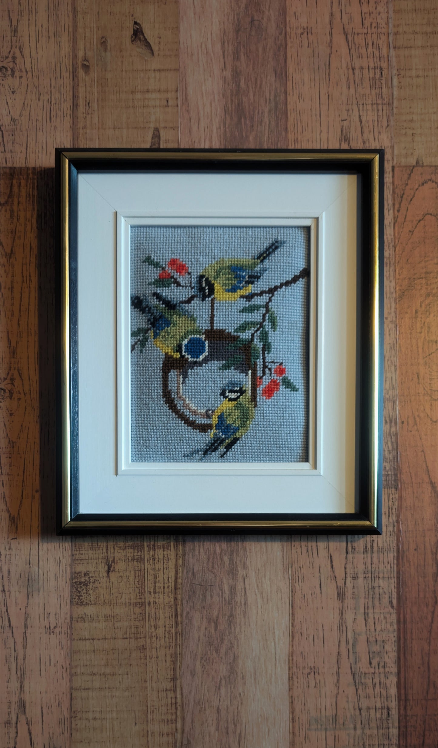 Eurasian Blue Tit