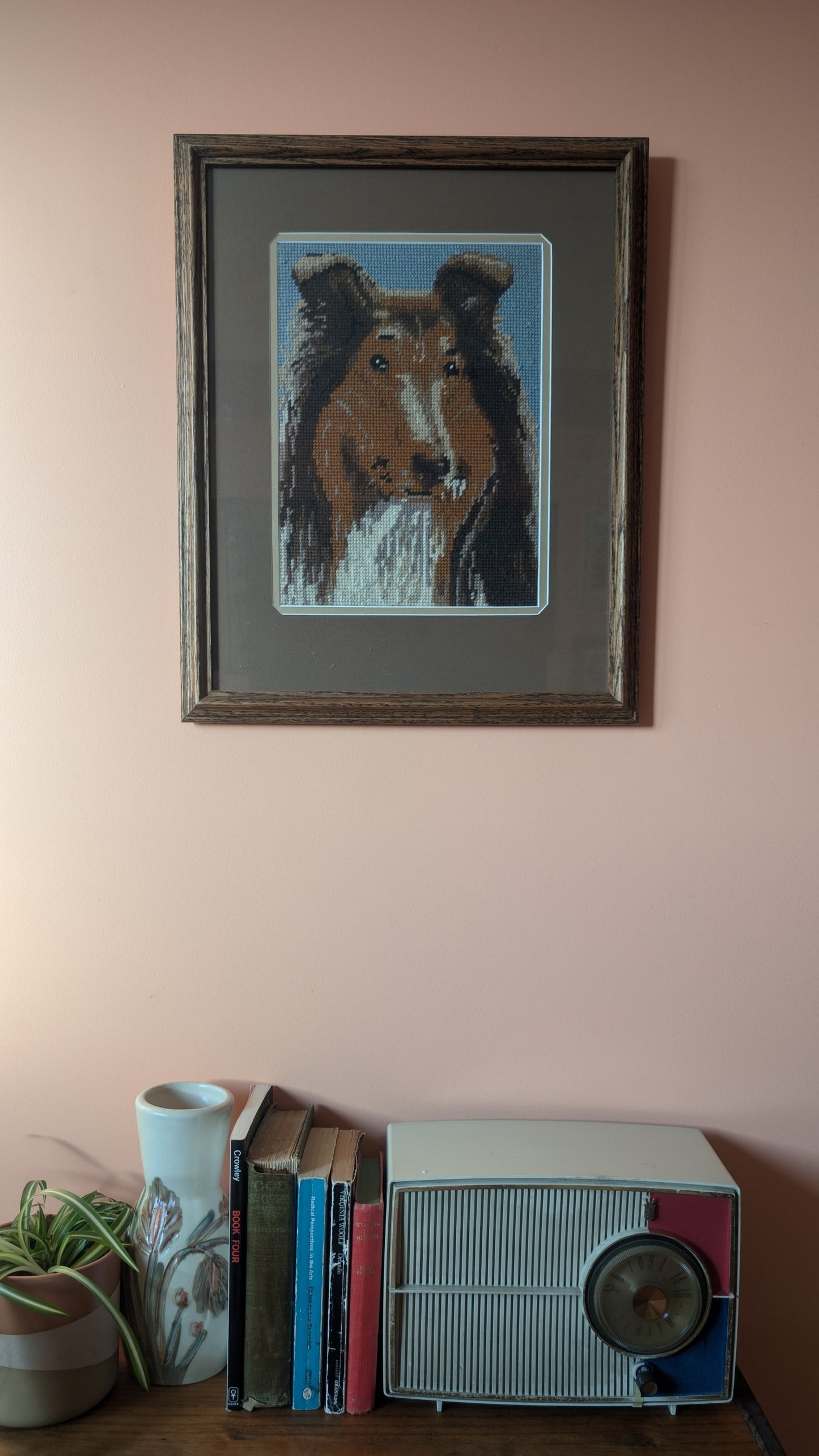 One Collie