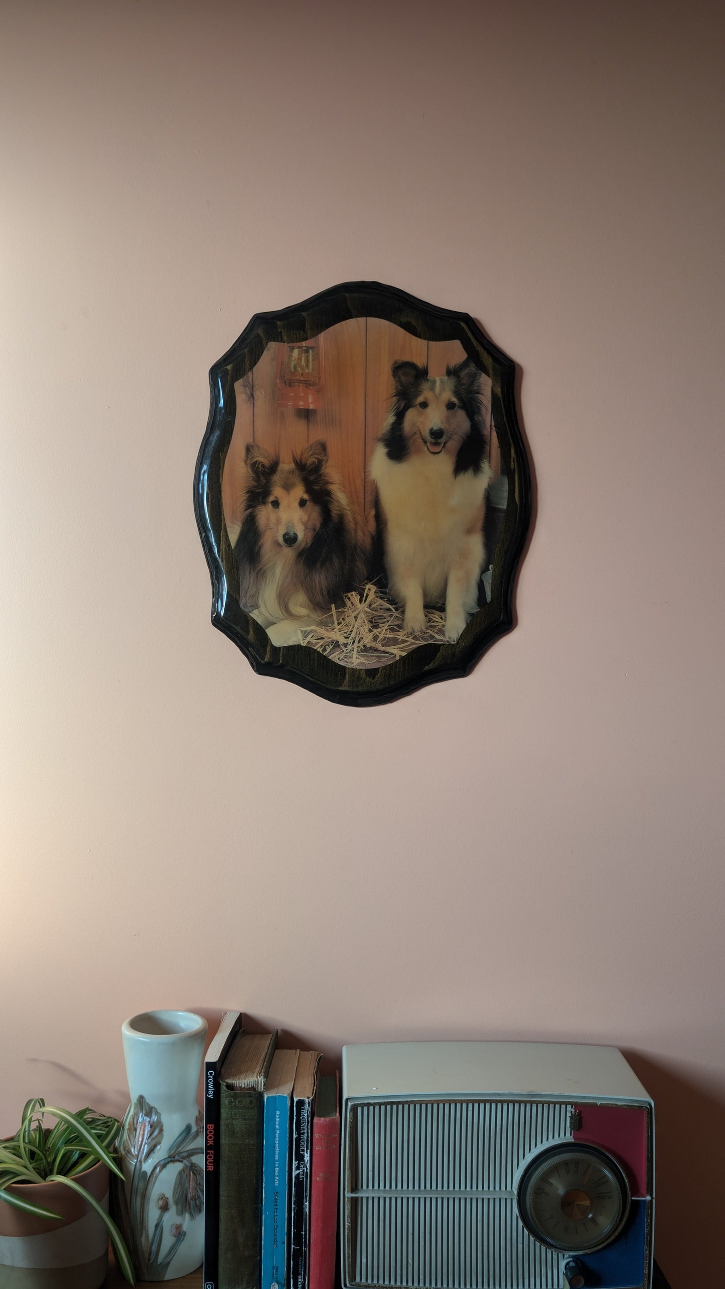 Two Collies